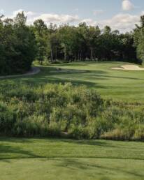 Muskoka golf green and fairway
